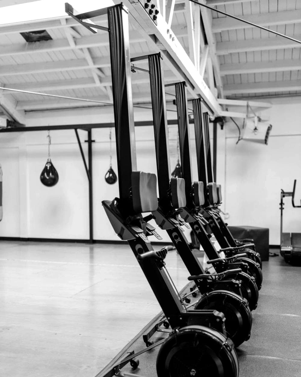 ski erg